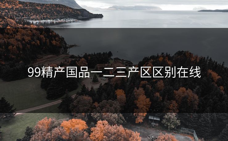 99精产国品一二三产区区别在线