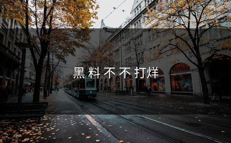 黑 料 不 不 打烊