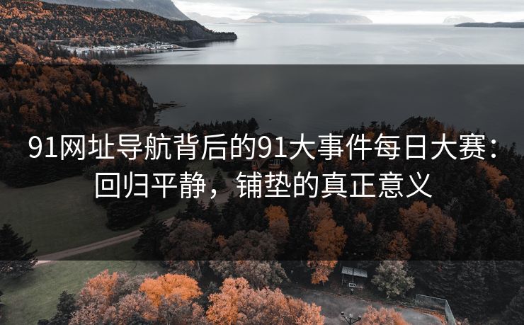 91网址导航背后的91大事件每日大赛：回归平静，铺垫的真正意义