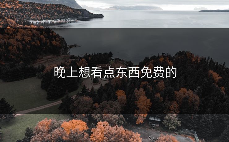 晚上想看点东西免费的
