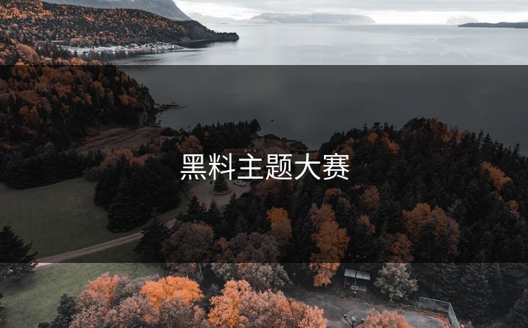 黑料主题大赛